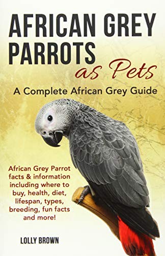 African grey parrots - african, a