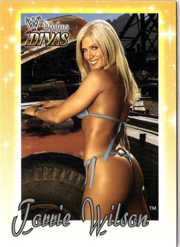 Wwe wwf torrie wilson - wwf, 2003