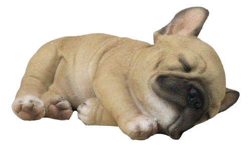 Realistic adorable french - realistic,