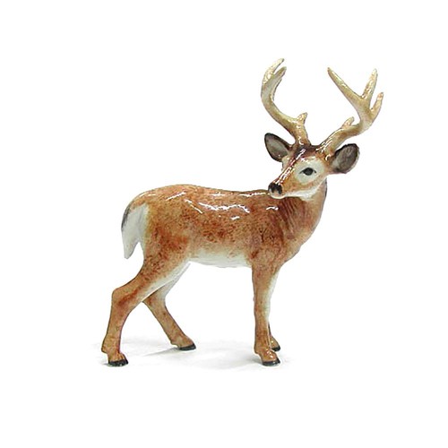 Northern rose deer buck home - northern,
