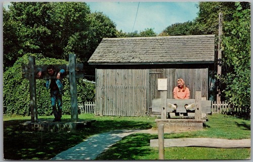Stocks pillory farm - &,