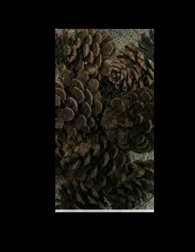 New essentialhome pine cones - new, !