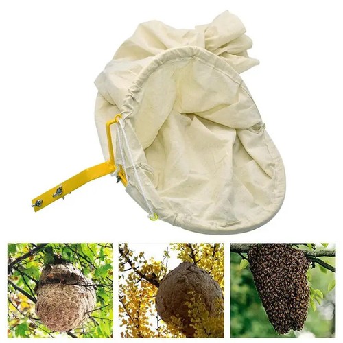 Bee cage swarm - trap, beekeeper