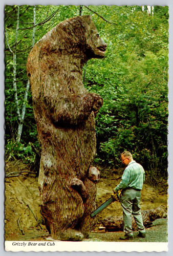 Postcard grizzly bear and cub - grizzly,