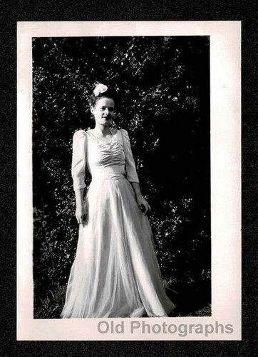 Woman lady beautiful formal - lady,