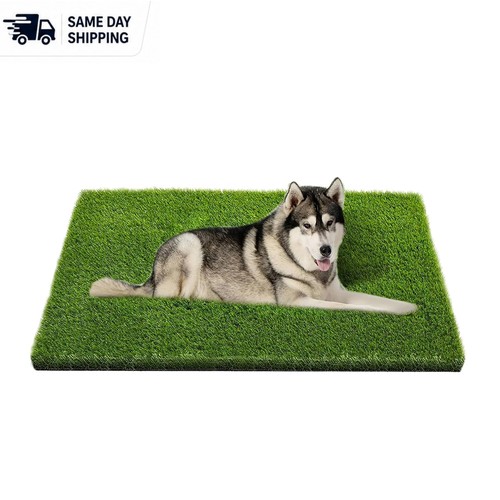 Washable pet training - pet, turf