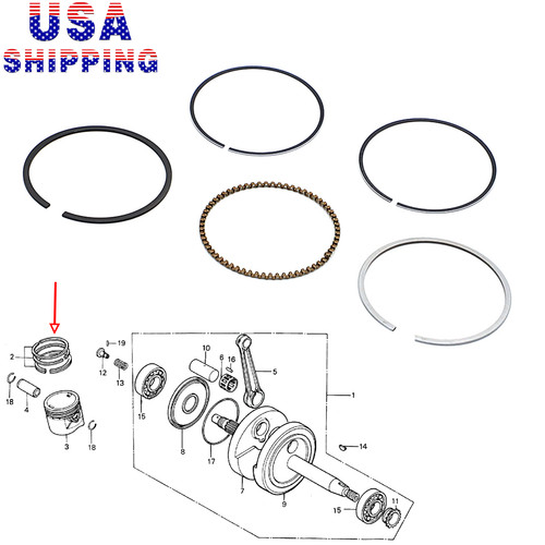 Standard bore piston rings kit - standard,