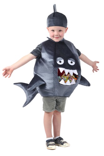 Feed gray shark - feed,