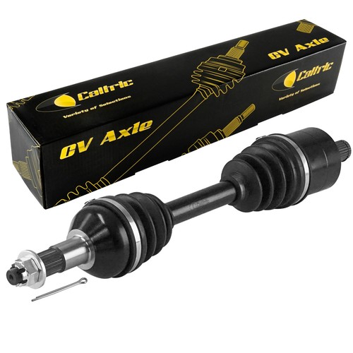 Caltric rear right - rear, joint
