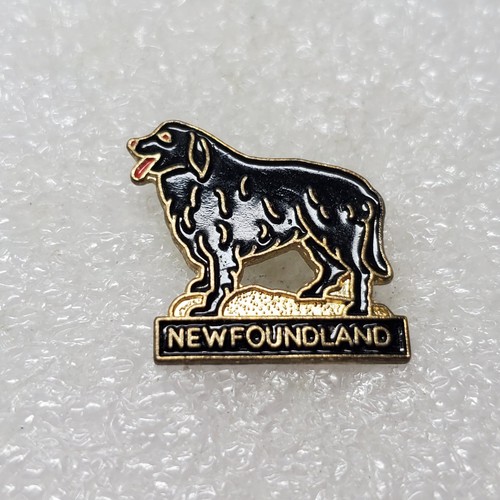 Newfoundland dog breed pinback - breed,