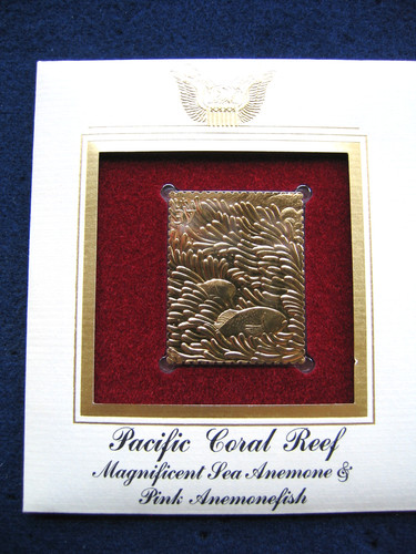 2004 pacific coral reef sea - coral,