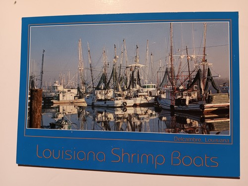 Delcambre louisiana shrimp - delcambre, louisiana~shrimp