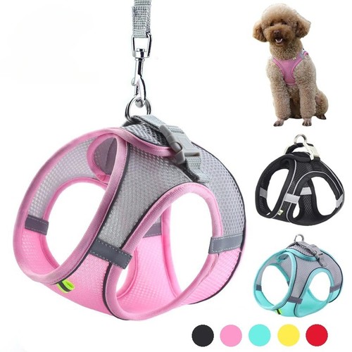 Adjustable puppy and cat - adjustable,