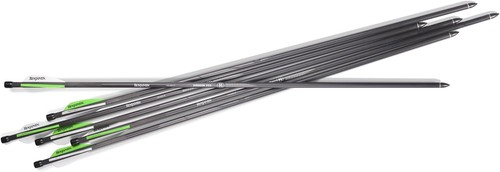 Ab6pka pioneer airbow arrow - pioneer,
