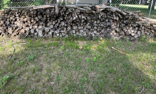 Firewood for campfires - firewood,
