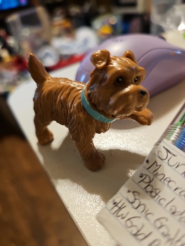 Unbranded pets accessory - unbranded,