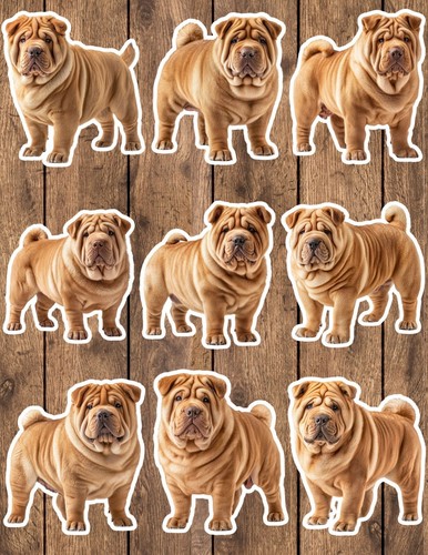 Shar pei dog die cut - shar,