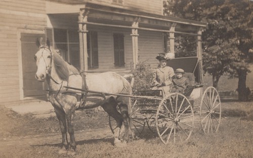 Woman child horse buggy - horse,