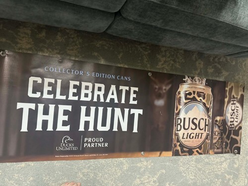 Busch light celebrate - light,
