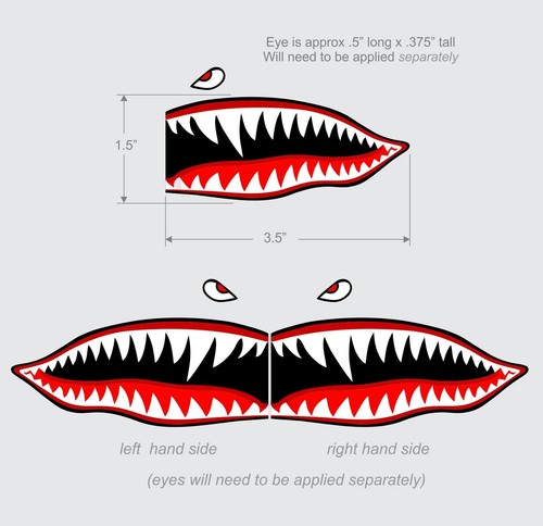 Flying tigers shark teeth - tigers,