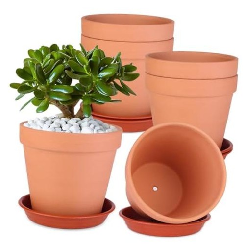 Pack inch terracotta - 6,