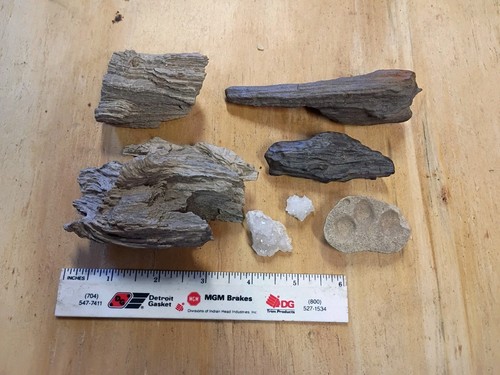 Texas petrified wood for - wood,