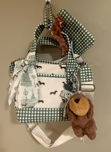 Madden girl dachshund - madden,