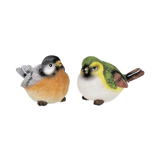 Sparrows set yard - of, 2