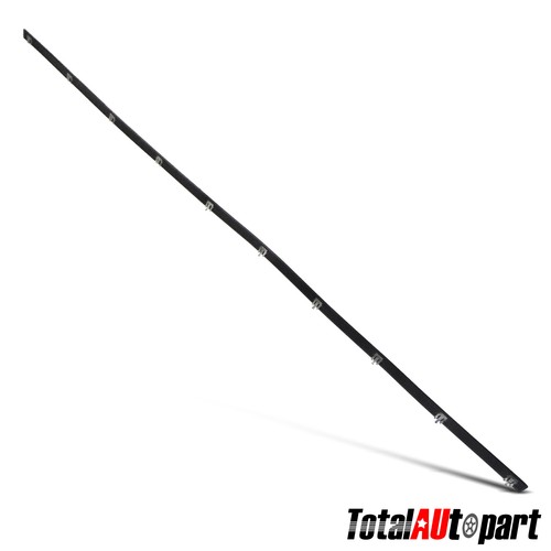 Belt weatherstrip with clips - belt,