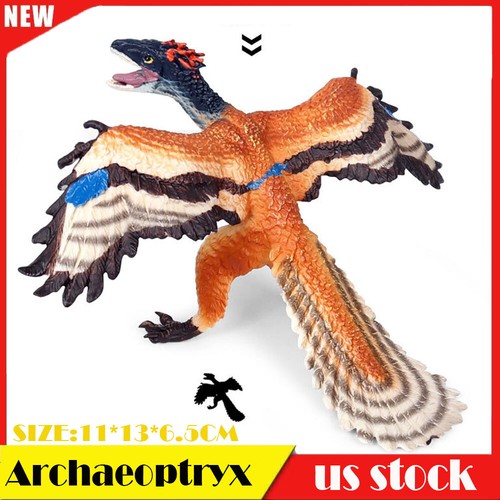 Archaeopteryx dinosaur model - dinosaur,