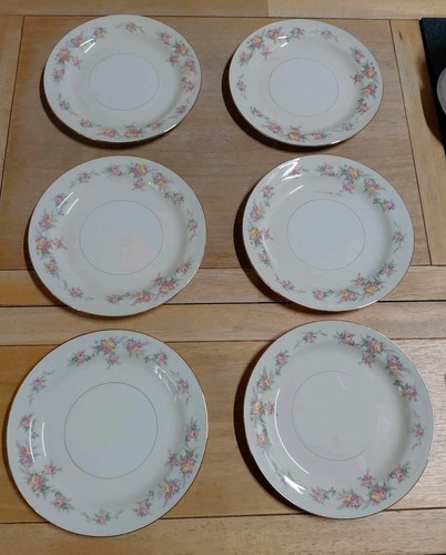 Lot eggshell nautilus - 6,