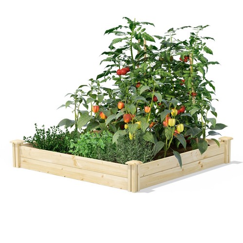 Ft pine wood raised - 4,