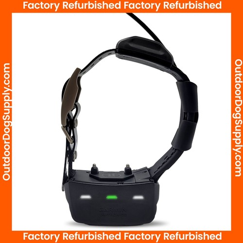 Garmin tt15 collar factory - garmin,