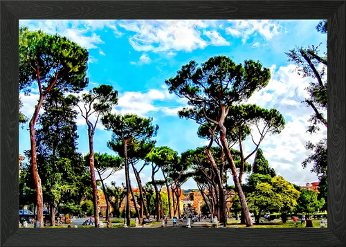 Rome art framed - art,