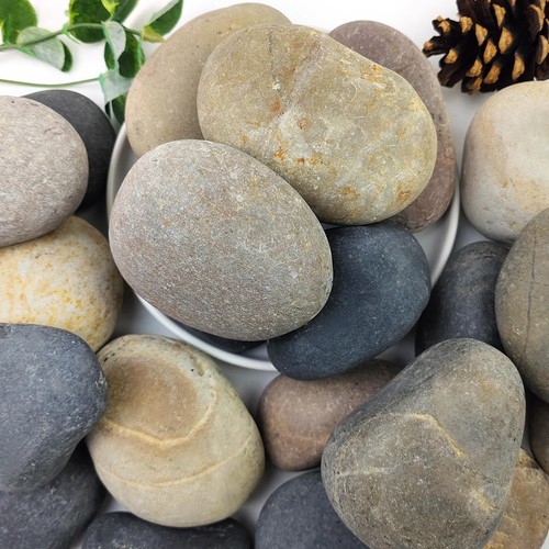 40lbs natural river rocks - 40lbs,