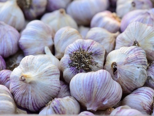 Siberian garlic whole - garlic,