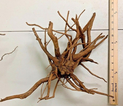 Large spider wood - spider,