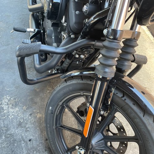 Mustache engine guard - engine, crash