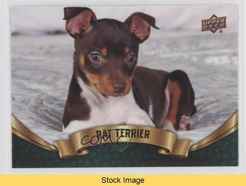 2018 upper deck canine - upper,