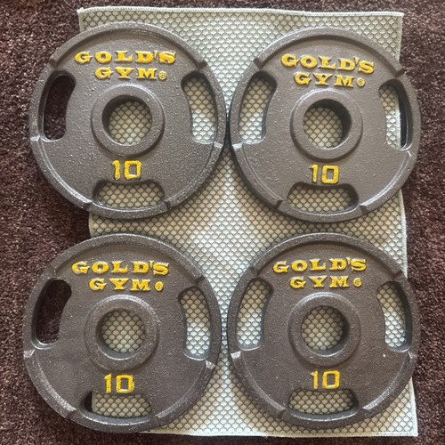 Gold gym 10 lb weight - x,