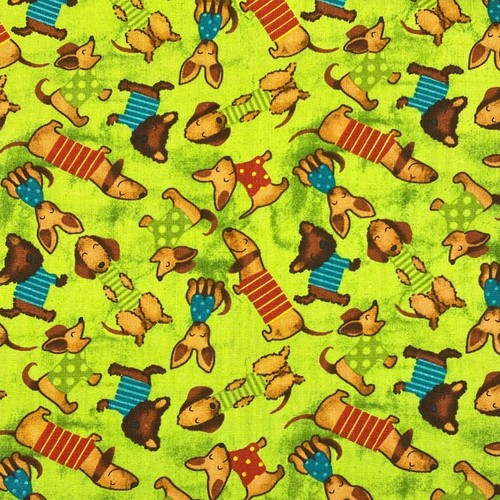 Dachshund dog lime - dog,