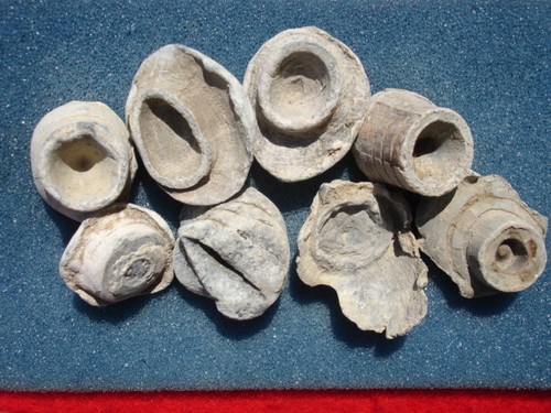 One civil war relic direct - civil,