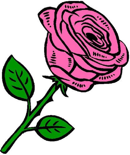 Custom little pink rose bud - custom,