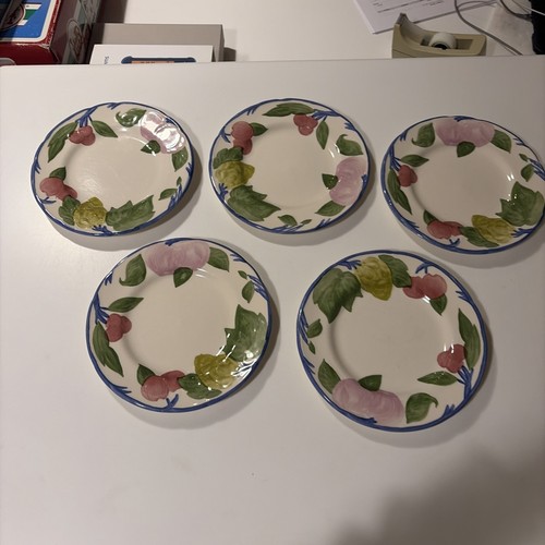 Franciscan orchard glade set - franciscan,