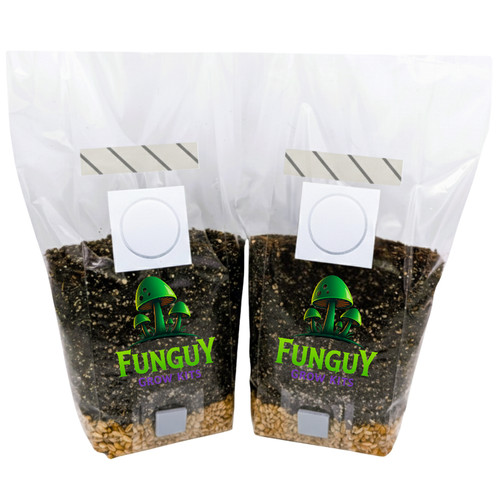 Pack all in one - all-in-one, mushroom
