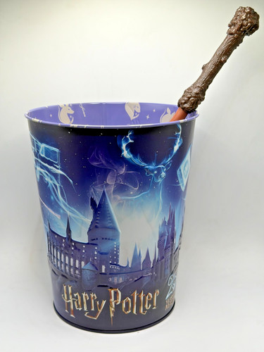 Harry potter 25th anniversary - potter,