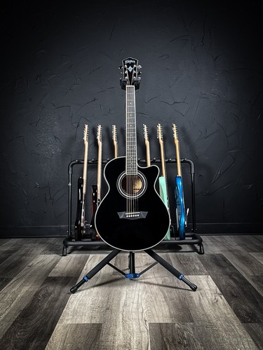 Washburn festival ea12b - festival, mini