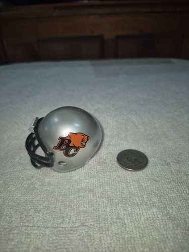Lions 2026 silver custom - bc,
