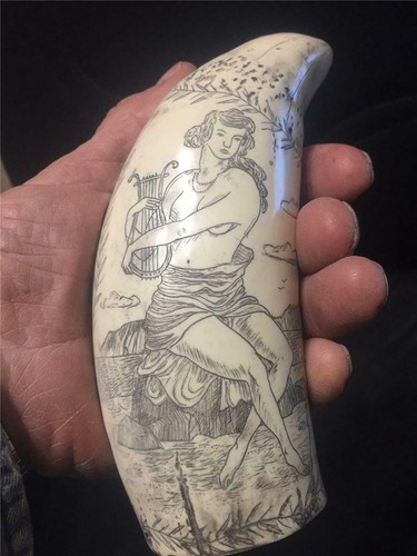 Sperm whale tooth scrimshaw