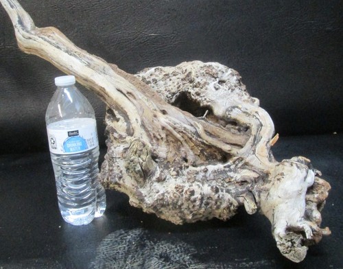 Manzanita burl wood d504 - wood, #d504
